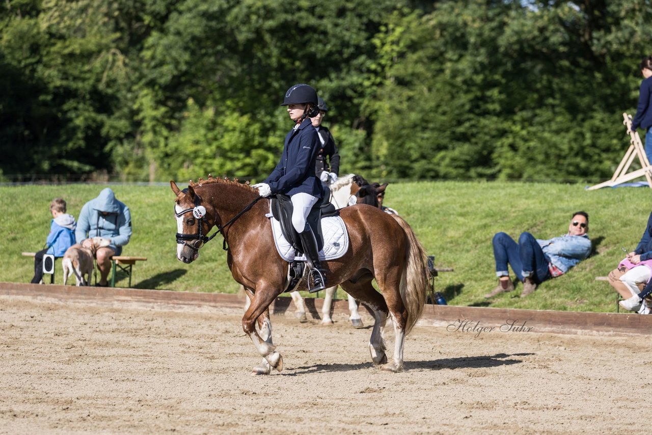 Bild 297 - Pony Akademie Turnier
